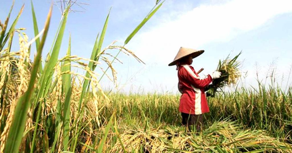 Anggota Komisi II Sujono Tekankan Pentingnya Petani Menjaga Kedaulatan Pangan