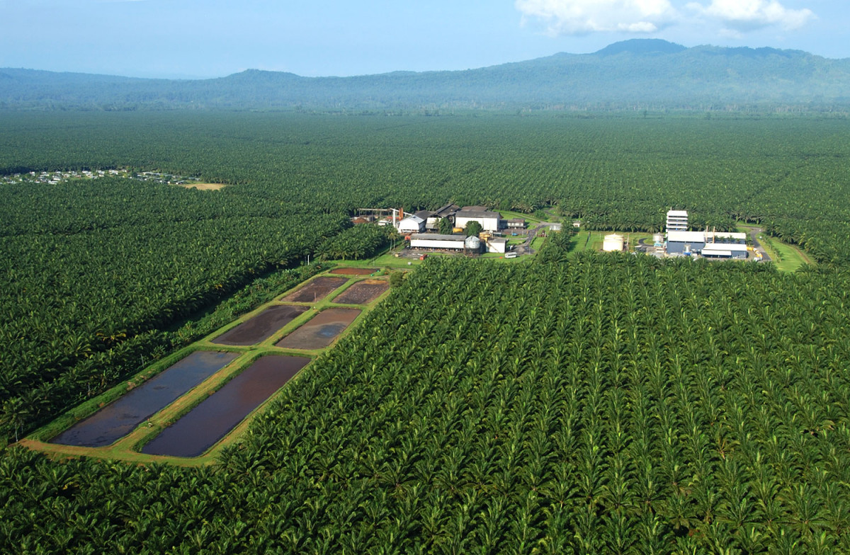 Ketua Komisi I DPRD Provinsi Bengkulu Soroti Konflik Agraria di Bengkulu