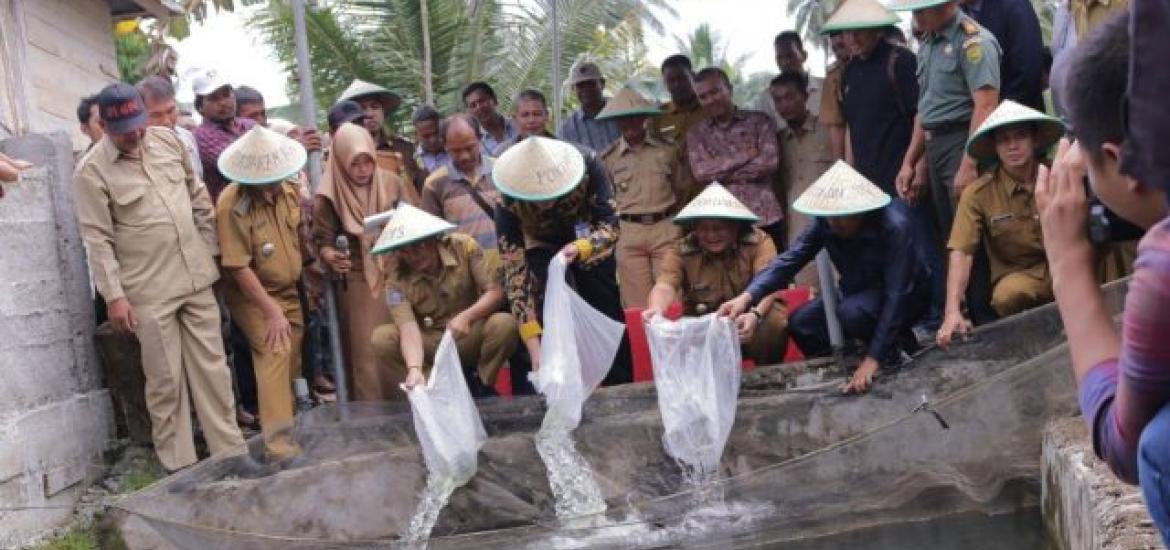 Budidaya perikanan di Bengkulu Selatan