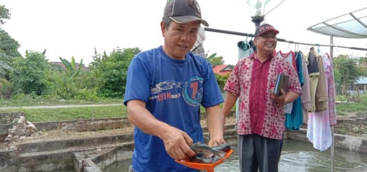 Petani Ikan Patin di Bengkulu Selatan