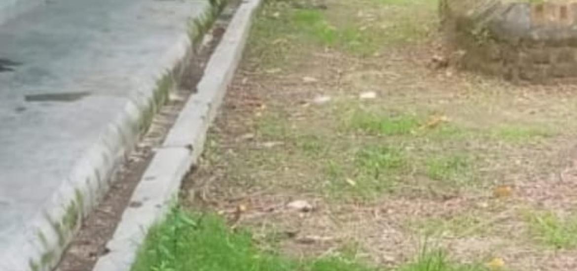 Kondisi SMP N 1 Pematang Sawa