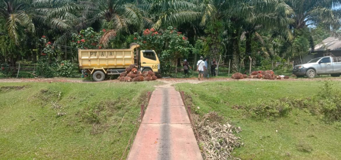 Aktivitas panes buah kelapa sawit