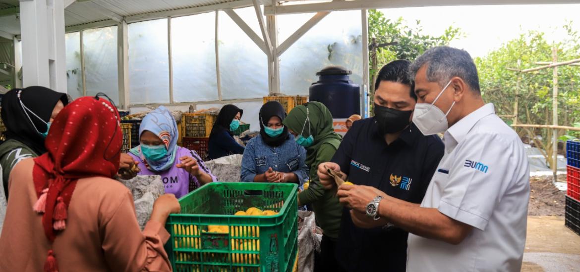 Menteri BUMN Apresiasi Kinerja Holding Ultra Mikro Dongkrak Inklusi Keuangan