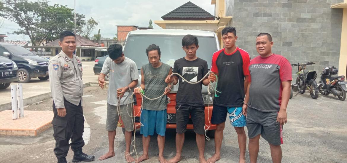 Polres MUBA Ringkus Lima Pelaku Pencurian Ternak