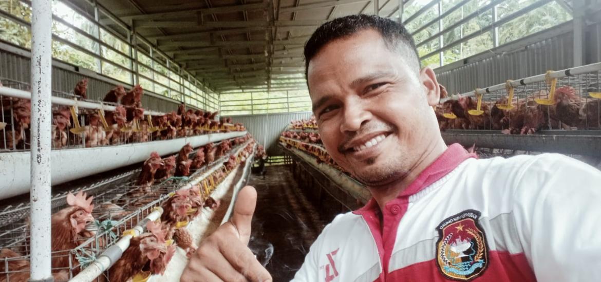 Pemerintahan Desa Air berau telah membudidaya kan Ayam bertelur