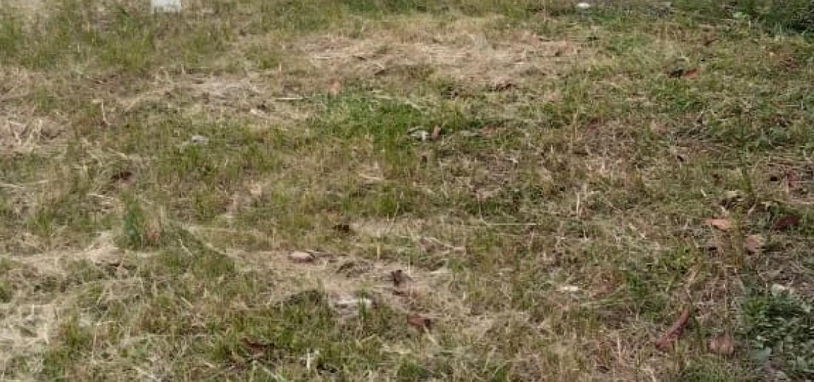 Rencana pembangunan jalan rabat beton