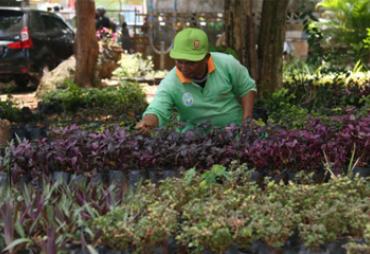 Walikota Helmi Hasan meninjau langsung kondisi taman kota