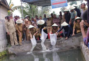 Budidaya perikanan di Bengkulu Selatan