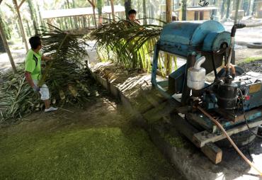 Kembangkan Pupuk Organik Sebagai Prukades di Desa Dataran Kempas Jambi