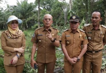 Bupati Bengkulu Selatan, Gusnan Mulyadi saat meninjau lokasi, Senin (8/7/2019)