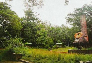 Taman Hutan Rakyat (Tahura) Rajo Lelo. Foto: Forum Komunikasi Masyarakat Bengkulu Tengah