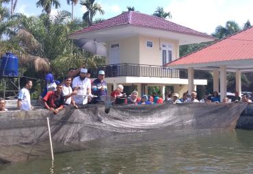 Program Sejuta Ikan, DKP Kota Bengkulu Panen Perdana 2 Ton