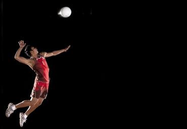 Volly Ball Ilustrasion Foto Net