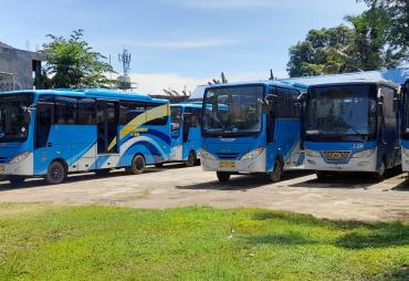 Bus Trans Rafflesia