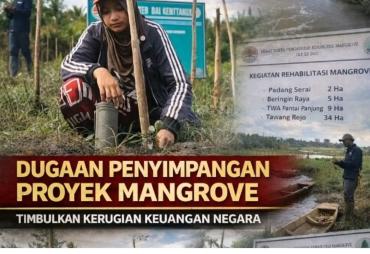 Program Mangrove BPDASHL Ketahun di Seluma Disorot, Diduga…