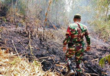“Di Tengah Kemarau, Babinsa Berpacu dengan Kobaran Api”.